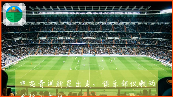 申花青训新星出走，俱乐部仅剩两名核心支柱
