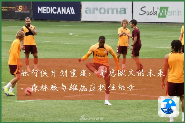 独行侠计划重建，考虑欧文的未来，森林狼与雄鹿应抓住机会
